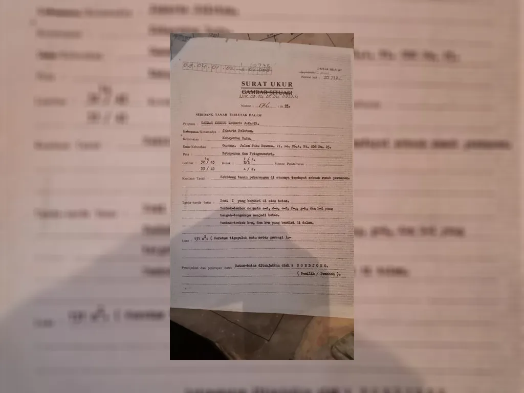 WhatsApp Image 2023-01-02 at 16.15.09.jpeg